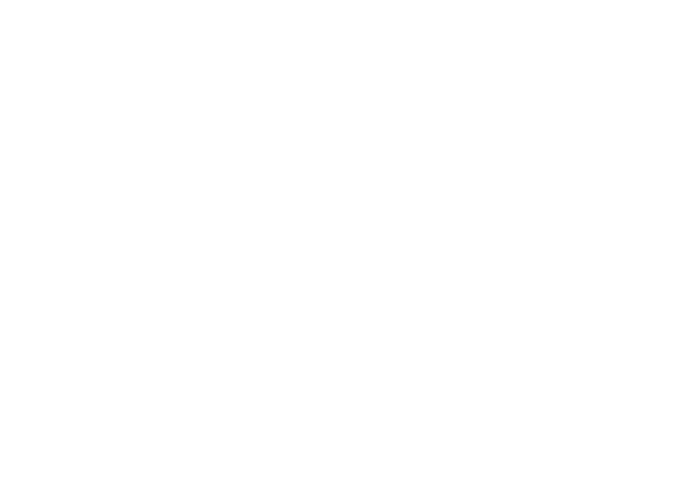 finishline