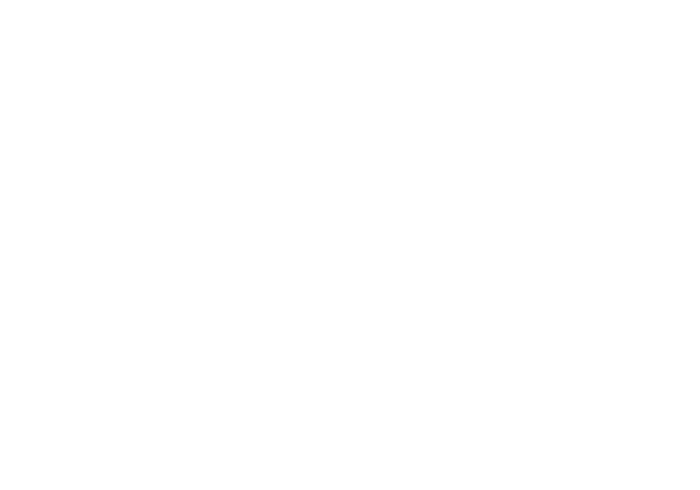 BESV