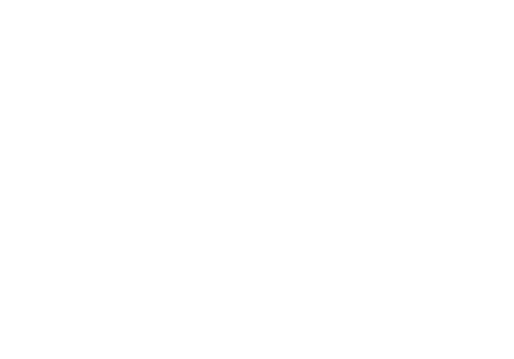 Hornit